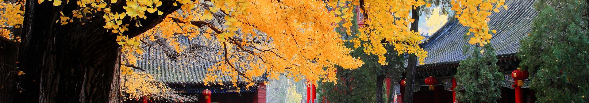 嵩山の風景区